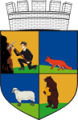 Město Rokytnice nad Jizerou
